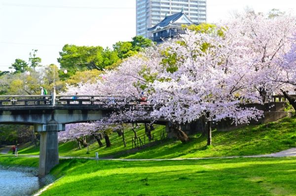 岡崎　占い